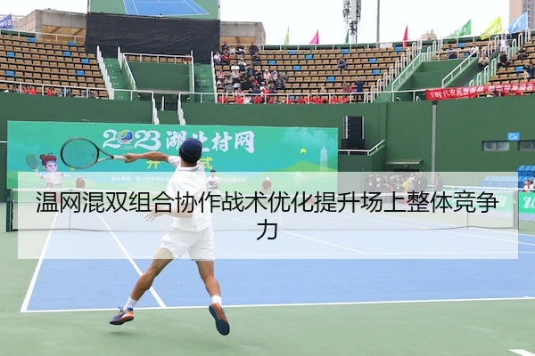 温网混双组合协作战术优化提升场上整体竞争力 | ODSportsAsia